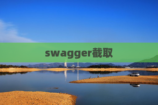 swagger截取